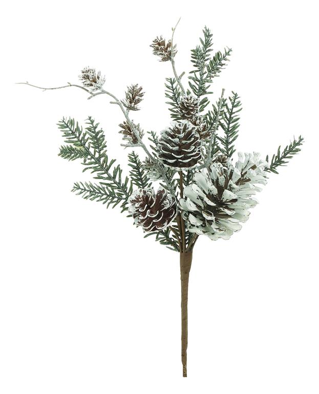 Rama pino y bellotas nevados