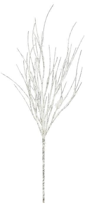 Rama birchwood moldeable