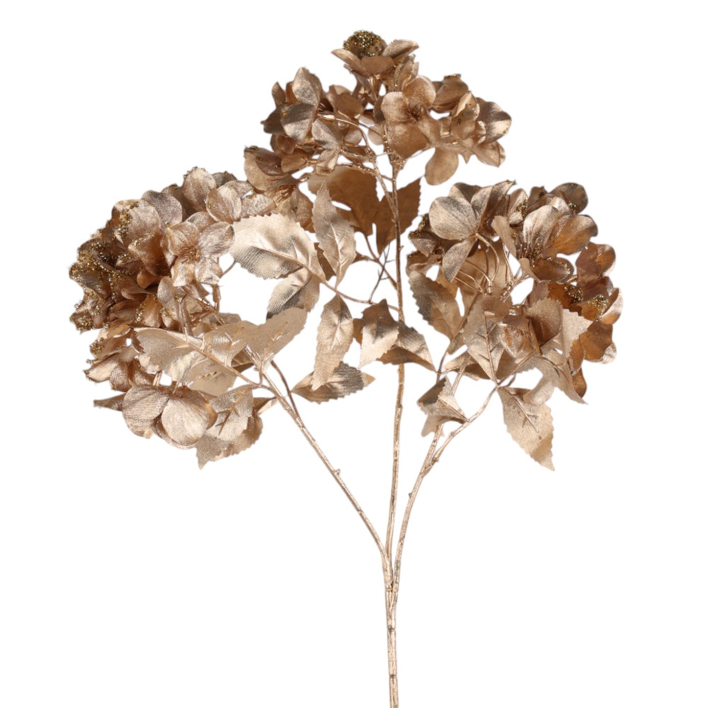 Rama hortencia dorada