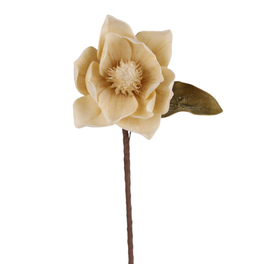 Rama magnolia beige