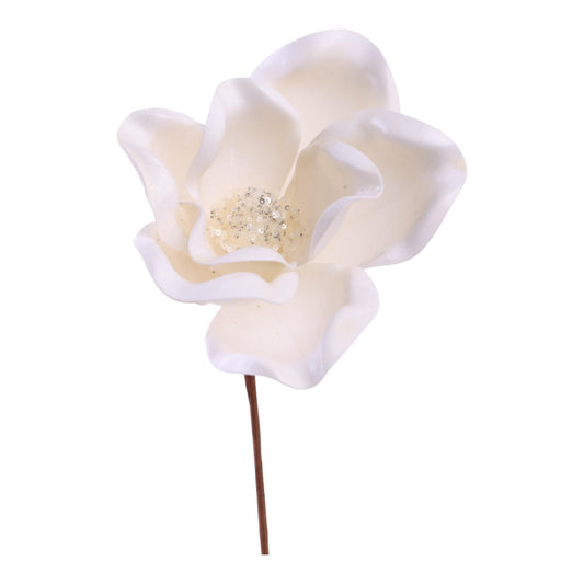 Magnolia blanca