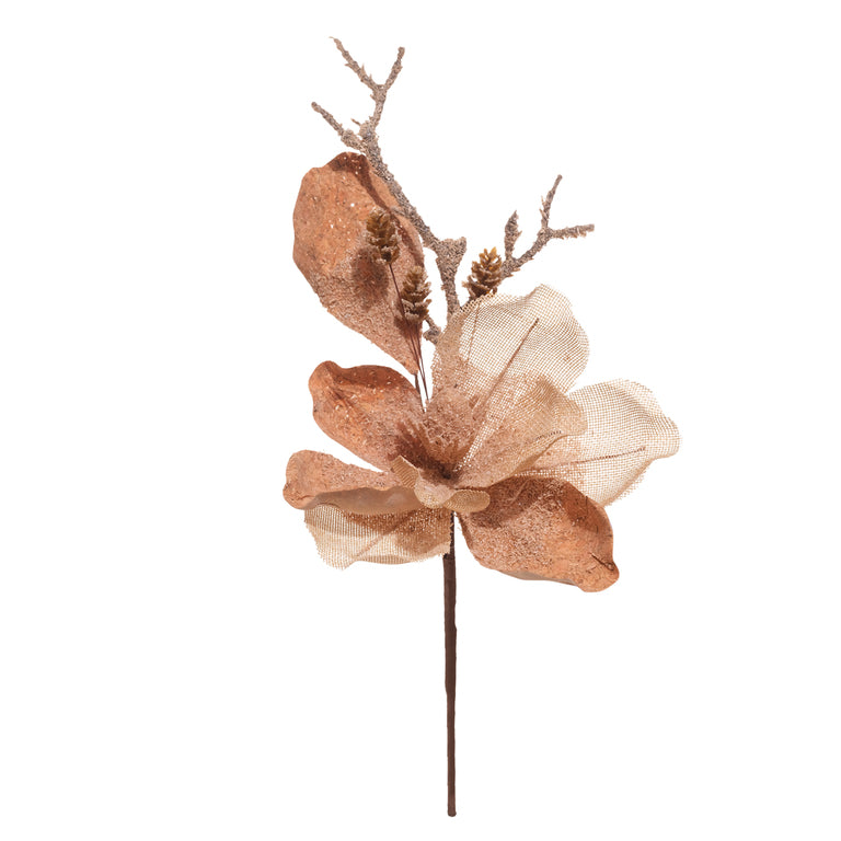 Magnolia con rama natural