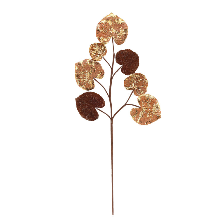 Rama hoja ancha dorada