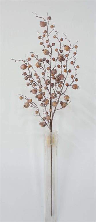 Berries sea foam café