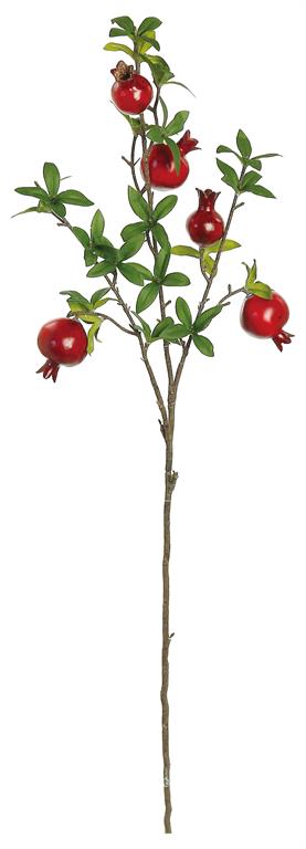 Rama granadas rojas