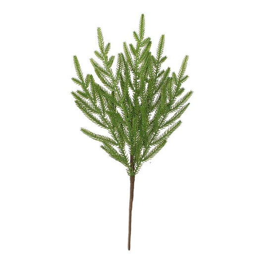 Rama Norfolk pine natural touch