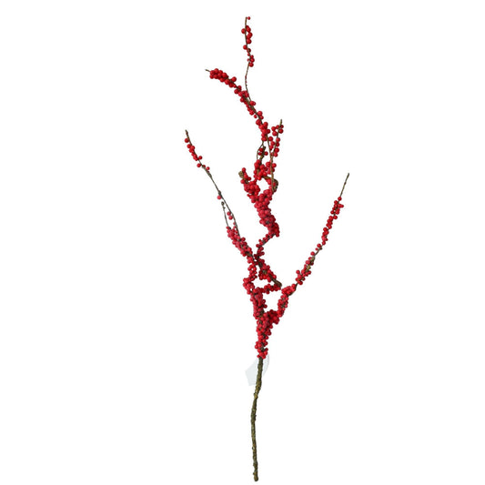 Rama berries llama