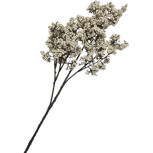 Rama berries blanca frondosa