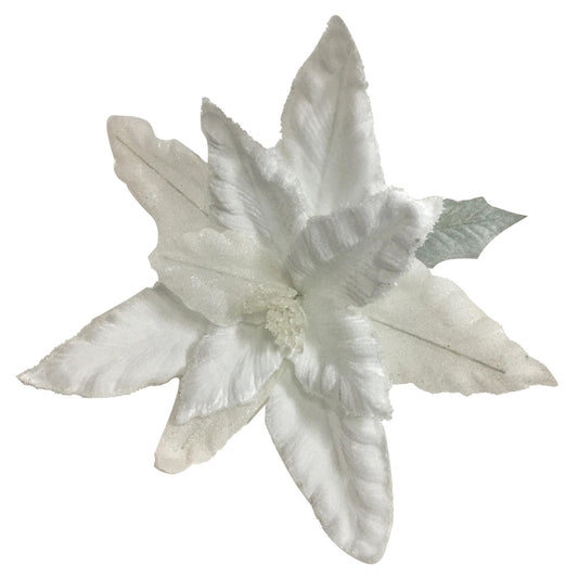 Pascua blanca nevada