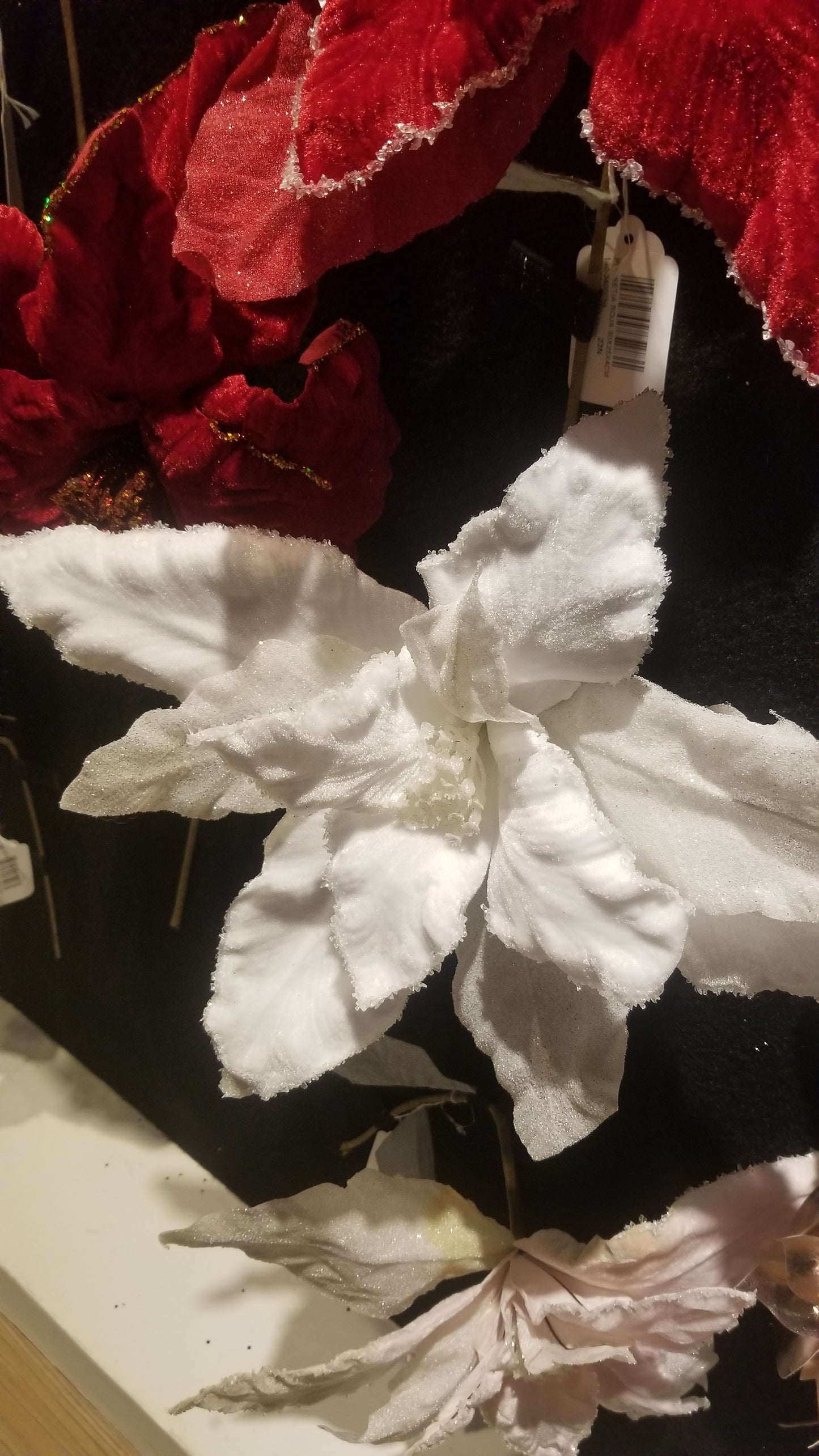 Pascua blanca nevada