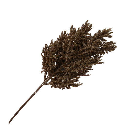 Rama sorgo
