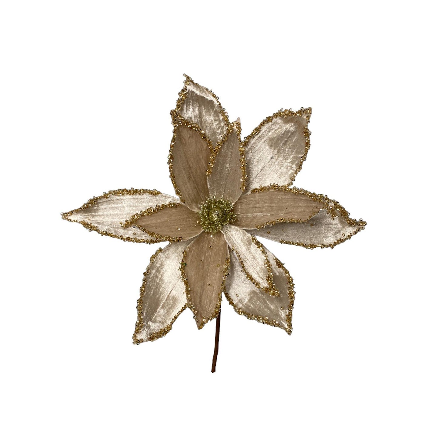 Magnolia light gold