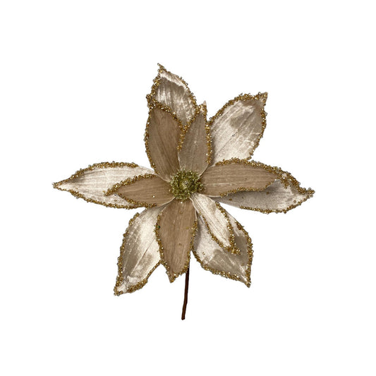 Magnolia light gold
